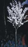 Prunus auf Stamm