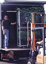D. Oltmanns - Baumschulpflanzen - Transport